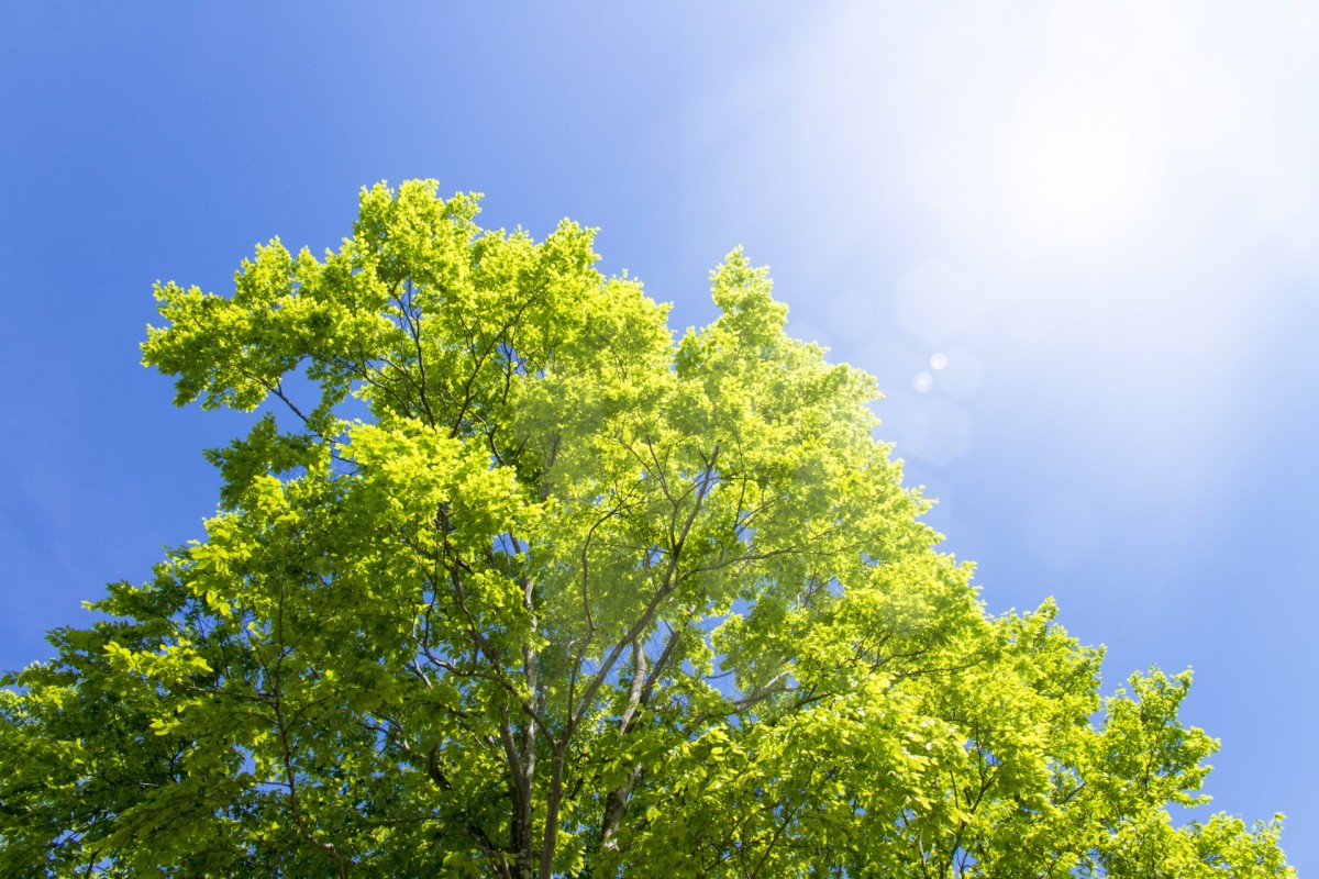 publicdomainq-0087377klgkqi